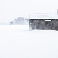 Isolated