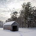 Winter Shelter I